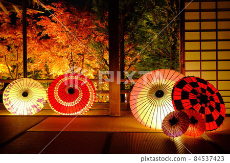 Tofukuji Shorinji Autumn Leaves Illuminated 2021 84537423
