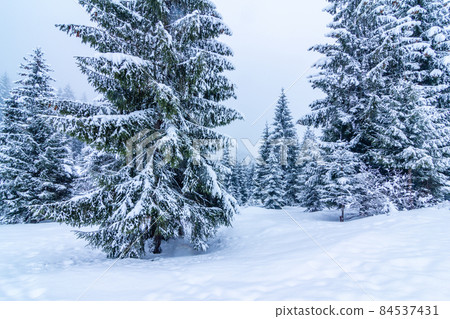 Beautiful winter landscape with snow covered trees. Winter mountains. Beautiful winter landscape with snow covered trees. Winter mountains. 84537431