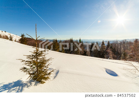 wonderfully majestic winter landscape glowing by sunlight. wintry scene. Carpathian, Ukraine, Europe. Beauty world. Happy New Year wonderfully majestic winter landscape glowing by sunlight. wintry scene. Carpathian, Ukraine, Europe. Beauty world. Happy New Year 84537502