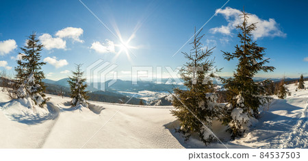 wonderfully majestic winter landscape glowing by sunlight. wintry scene. Carpathian, Ukraine, Europe. Beauty world. Happy New Year wonderfully majestic winter landscape glowing by sunlight. wintry scene. Carpathian, Ukraine, Europe. Beauty world. Happy New Year 84537503