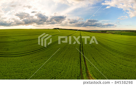 Aerial landscape view of green cultivated agricultural fields with growing crops on bright summer day. Aerial landscape view of green cultivated agricultural fields with growing crops on bright summer day. 84538298