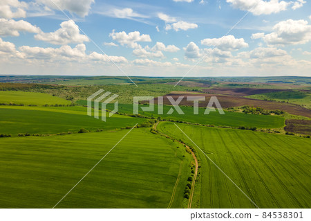 Aerial landscape view of green cultivated agricultural fields with growing crops on bright summer day. Aerial landscape view of green cultivated agricultural fields with growing crops on bright summer day. 84538301