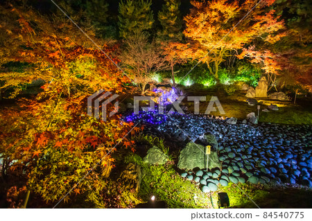 Hogon-in Autumn Leaves Special Night Visit - Stock Photo