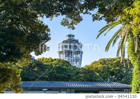 [Kanagawa Prefecture] Enoshima Sea Candle surrounded by nature 84541130