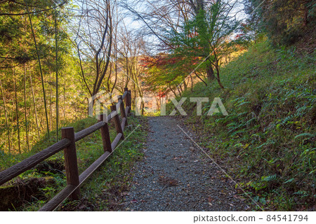 Kodairanosato, near the limestone cave park, the season of autumn leaves, autumn scenery 84541794