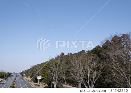 View of Tsukuba University Kasuga area from Tsukuba City Gakuen Nishi-Odori [photographed in February 2021] 84542220