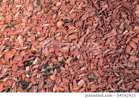 Brown wood chip mulch. Texture background. Horticulture and greenery Brown wood chip mulch. Texture background. Horticulture and greenery 84542425