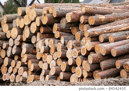 Log Stack. Timber Production, Transportation and Deliver 84542435