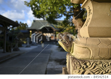 A lantern carried by a turtle at Umi Shrine A lantern carried by a turtle at Umi Shrine 84542514