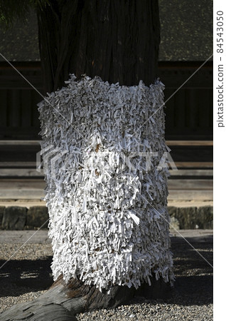 A tree tied with a fortune slip where sunlight shines through A tree tied with a fortune slip where sunlight shines through 84543050