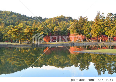 森花園的水邊 森花園的水邊 84544035