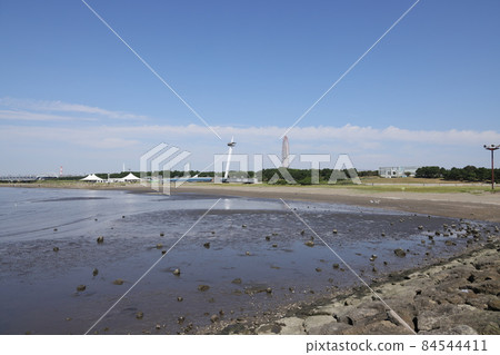 Scenery of Kasai Rinkai Park in Edogawa Ward, Tokyo 84544411