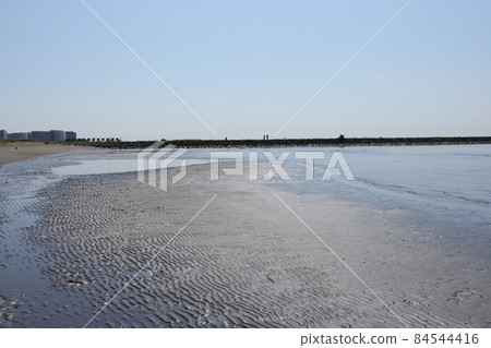 Scenery of Kasai Rinkai Park in Edogawa Ward, Tokyo 84544416