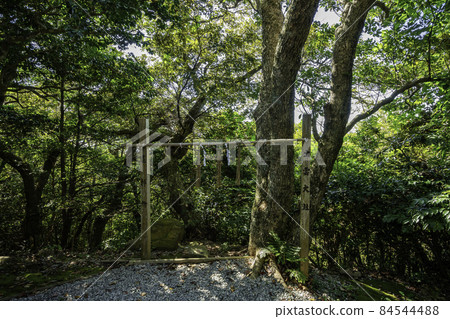 Awashima Shrine Izumo Taisha Harukasho Yonago City, Tottori Prefecture 84544488