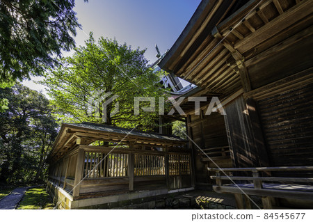 鳥取縣淡島神社本堂米子市 84545677