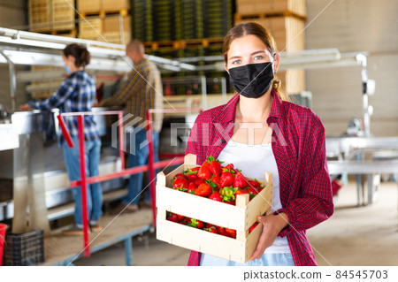 Young girl farmer is standing in a warehouse in a protective mask, holding a crate of ripe strawberries in her hands Young girl farmer is standing in a warehouse in a protective mask, holding a crate of ripe strawberries in her hands 84545703