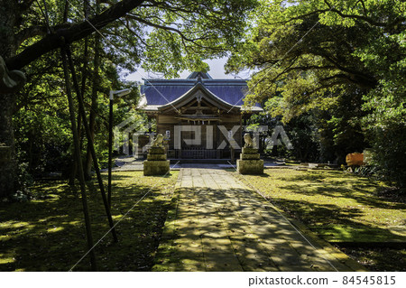 鳥取縣米子市淡島神社海傳 84545815