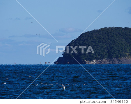 海市蜃樓（浮島現象）中漂浮在地平線上的礁石和船隻，前景中的海鷗[三重縣尾羽灣] 84546530