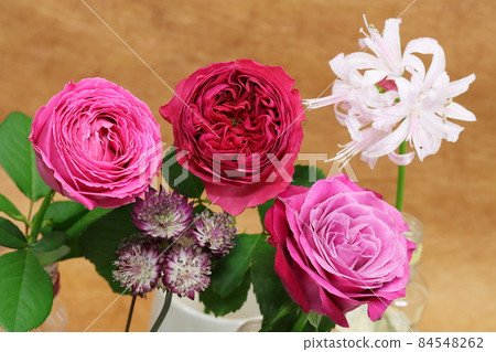 花道玫瑰胭脂紅經典 花道玫瑰胭脂紅經典 84548262