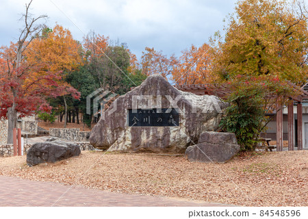 山梨縣立森林公園神奈川之森公園石碑 84548596
