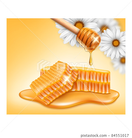 Honey bee food product template vector 84551017