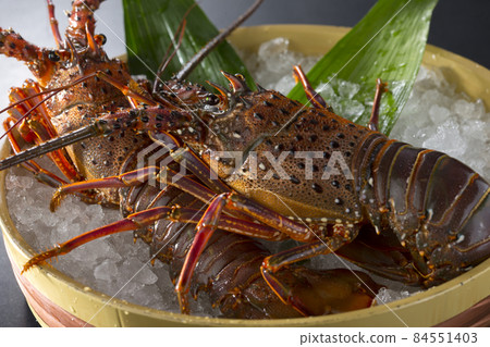 好像從浴缸裡蹦出來的活刺龍蝦 好像從浴缸裡蹦出來的活刺龍蝦 84551403