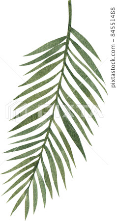Green leave watercolor clipart png 84551488