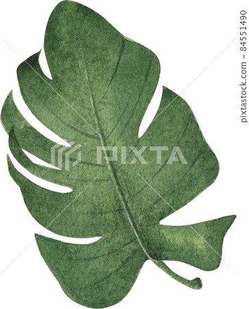 Green leave watercolor clipart png Green leave watercolor clipart png 84551490