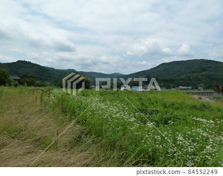 Rural landscape of Ogawa Town (Ogawa Town, Hiki District, Saitama Prefecture) 84552249