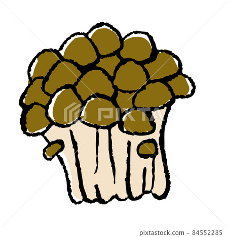 Bunashimeji 的矢量圖 Bunashimeji 的矢量圖 84552285