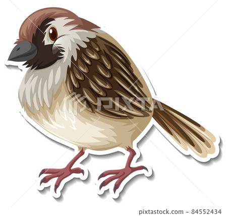 Little bird animal cartoon sticker 84552434