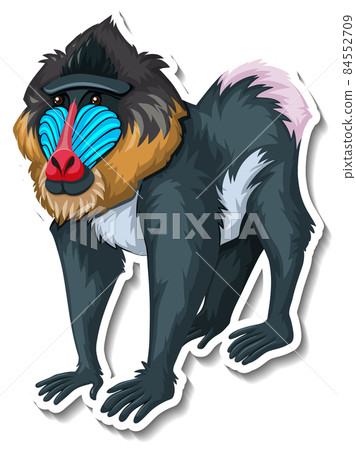 Mandrill monkey animal cartoon sticker Mandrill monkey animal cartoon sticker 84552709