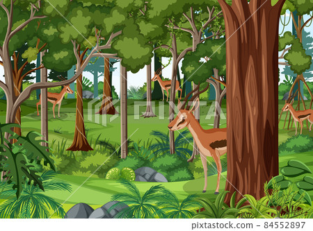 Nature forest landscape background with many deers - Stock Illustration ...