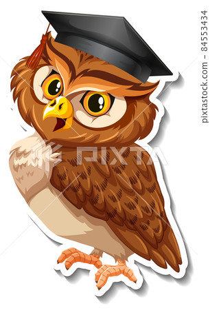 Owl bird animal cartoon sticker 84553434