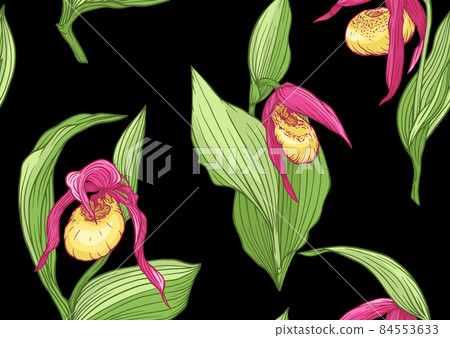 Lady's slipper orchid, Cypripedioideae, Seamless pattern, background. Vector illustration. 84553633