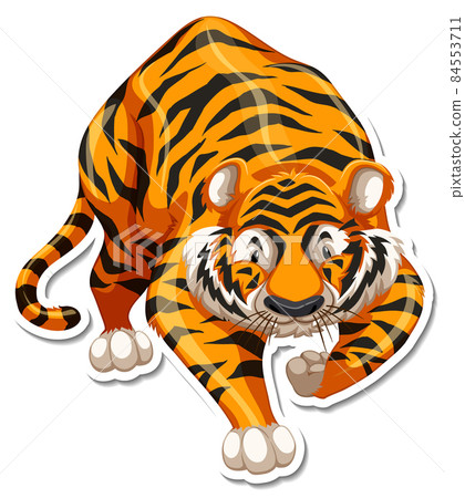 Tiger cartoon character on white background Tiger cartoon character on white background 84553711