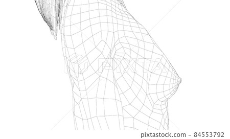 Wireframe female breast. Close-up view 84553792