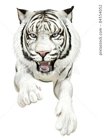 Bengal Tiger Standing Growl 3d Renderin Stock Illustration