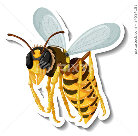 Honey bee insect cartoon sticker Honey bee insect cartoon sticker 84554183