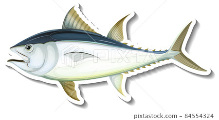 Atlantic bluefin tuna sticker on white background Atlantic bluefin tuna sticker on white background 84554324