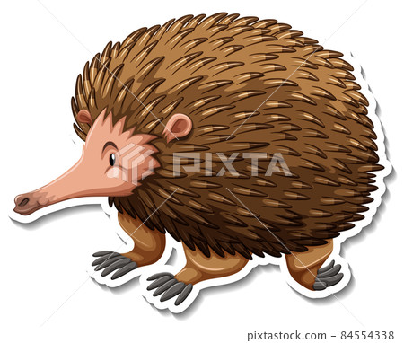 Echidna cartoon character on white background Echidna cartoon character on white background 84554338