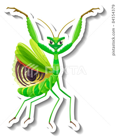 Grasshopper animal cartoon sticker Grasshopper animal cartoon sticker 84554379