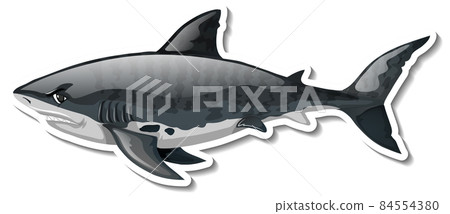 Shark animal cartoon sticker Shark animal cartoon sticker 84554380
