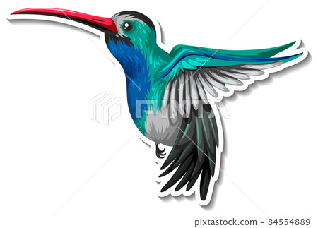 Hummingbird animal cartoon sticker 84554889