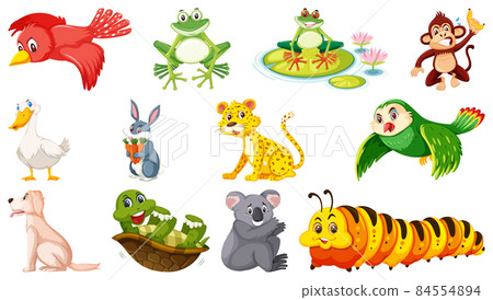 Set of isolated various animals 84554894