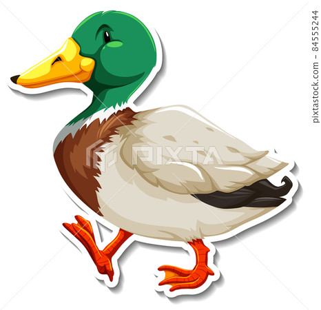 Duck animal farm animal cartoon sticker 84555244