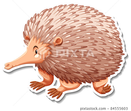 Echidna cartoon character on white background Echidna cartoon character on white background 84555603