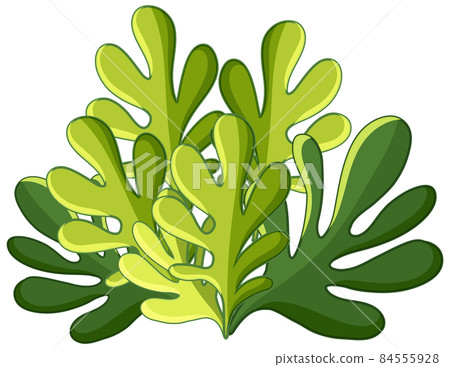 Green bush in cartoon style Green bush in cartoon style 84555928