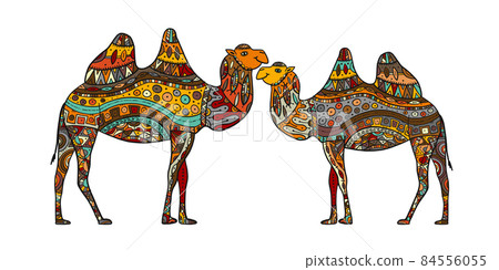 Hand drawn couple of camels. Colorful zentangle ornament for your design Hand drawn couple of camels. Colorful zentangle ornament for your design 84556055