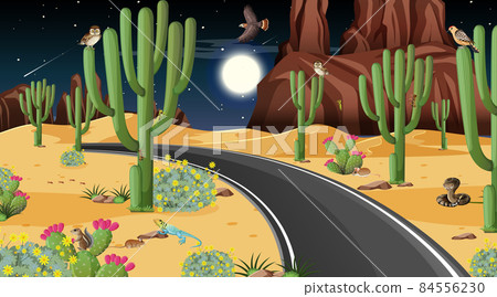 Road through the desert forest landscape scene with desert animals Road through the desert forest landscape scene with desert animals 84556230